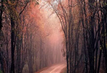 虎扑体育官网：[德甲]不来梅主场战平莱比锡.