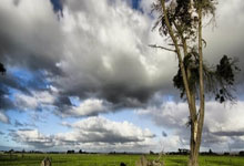 热刺本赛季英超伦敦德比只拿到10分，为并列最低.