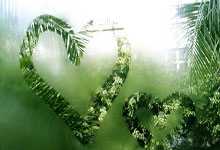 虎扑体育官网：白血病康复泳将有望争世锦赛首块奖牌 张雨霏迷状态给她突破空间.